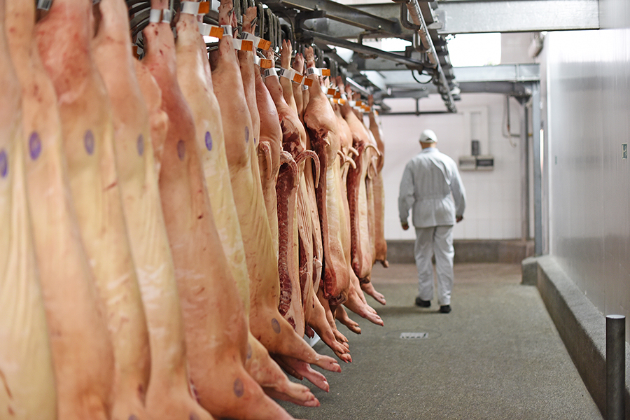 Zabrana uvoza svinjetine