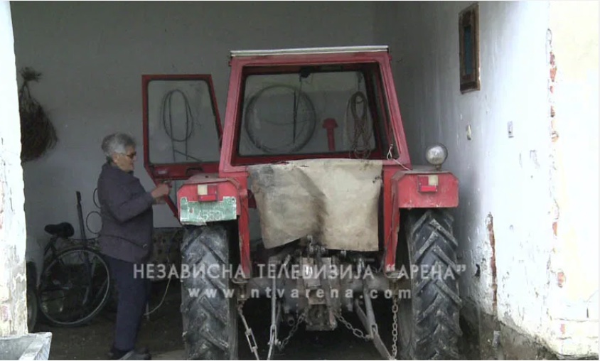 Dušanka Šamotić